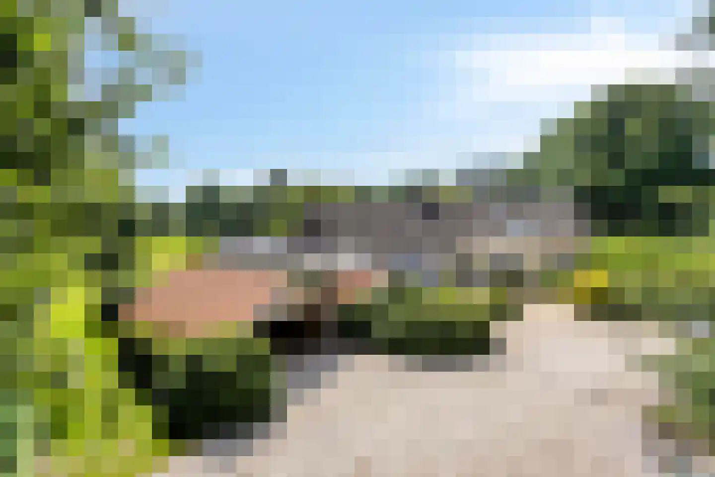 Vierwindenlaan 13 Oss thumbnail 13