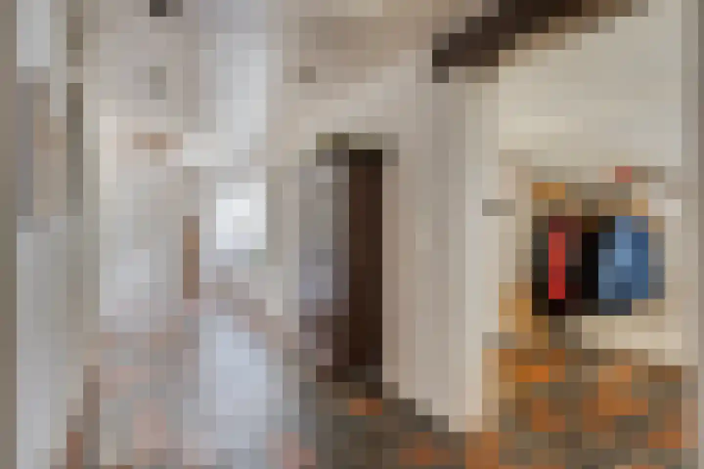 Vierwindenlaan 13 Oss thumbnail 28