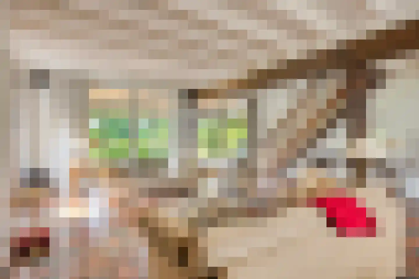 Vierwindenlaan 13 Oss thumbnail 30