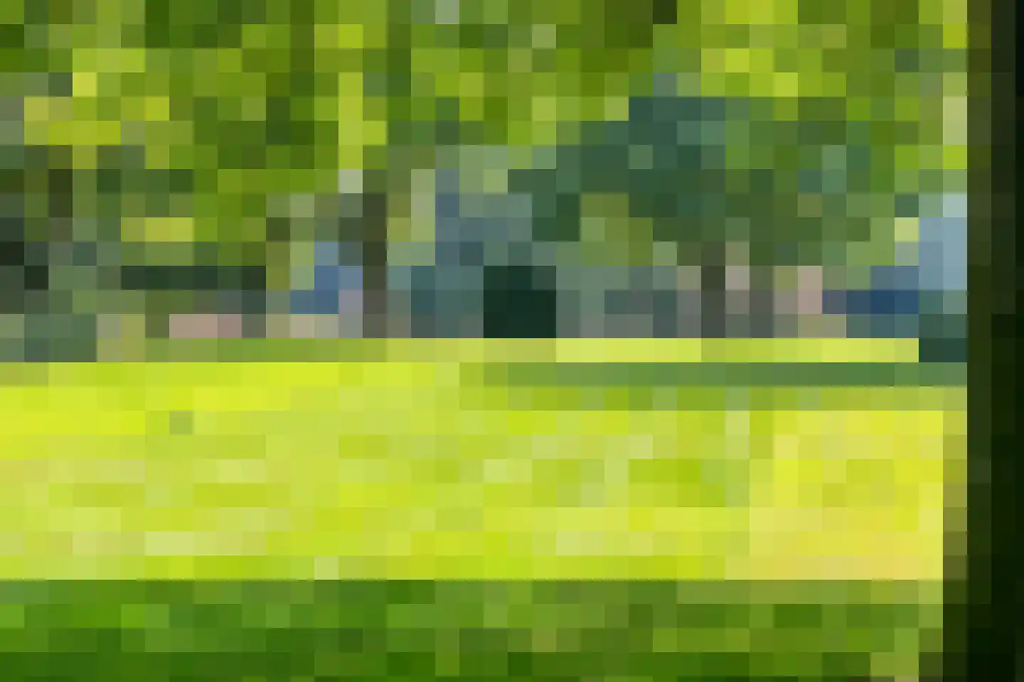 Vierwindenlaan 13 Oss thumbnail 39
