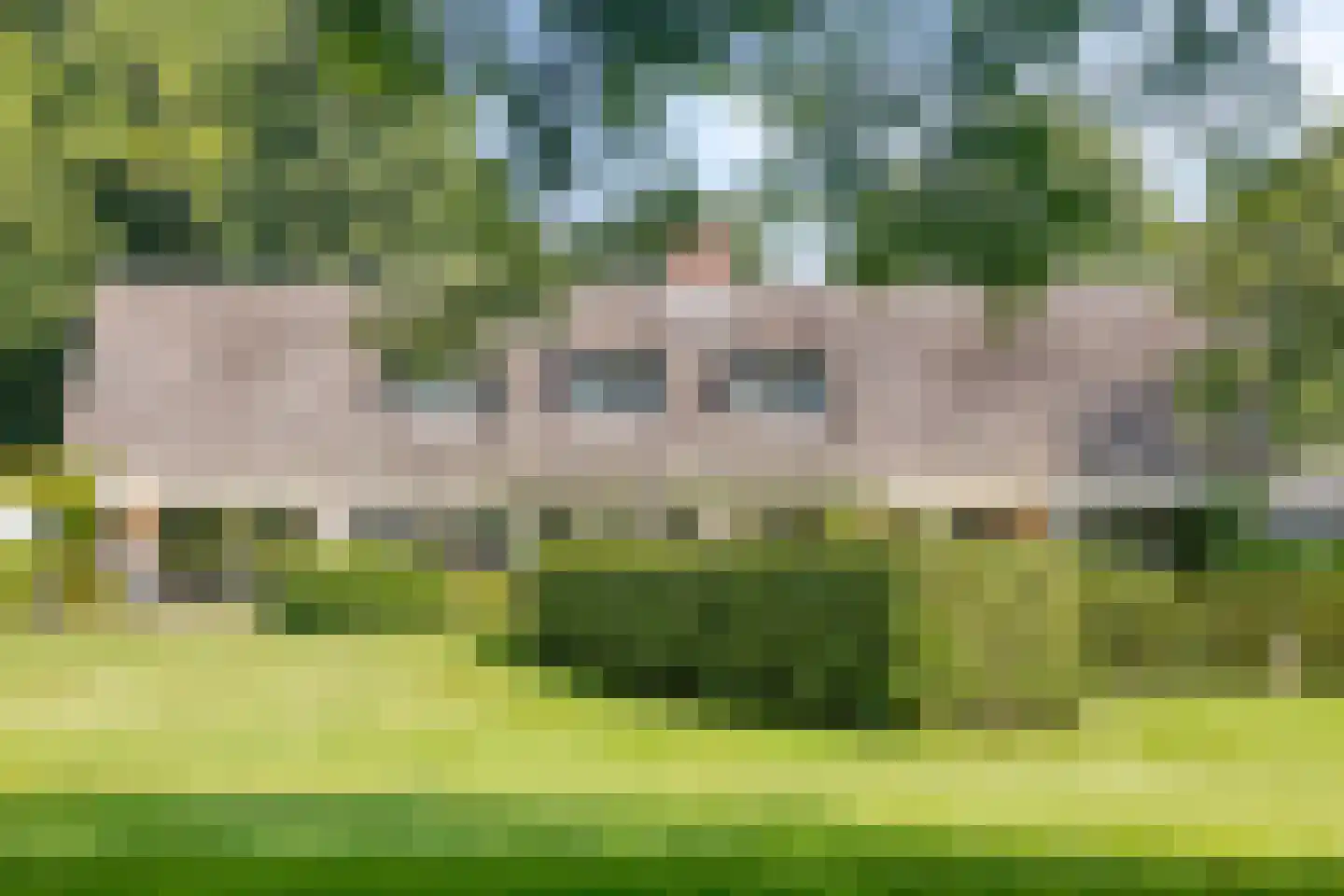 Vierwindenlaan 13 Oss thumbnail 40