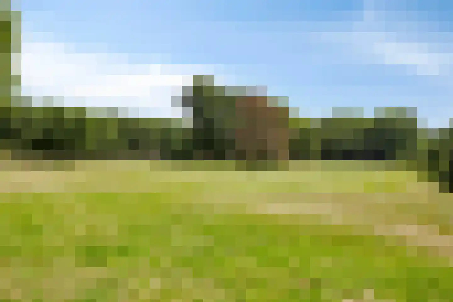 Vierwindenlaan 13 Oss thumbnail 49