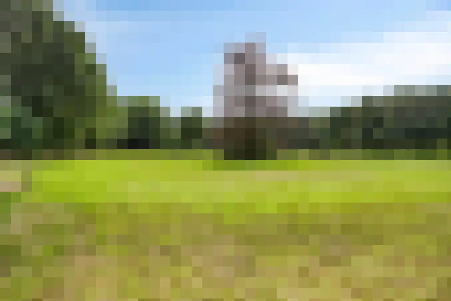 Vierwindenlaan 13 Oss thumbnail 50