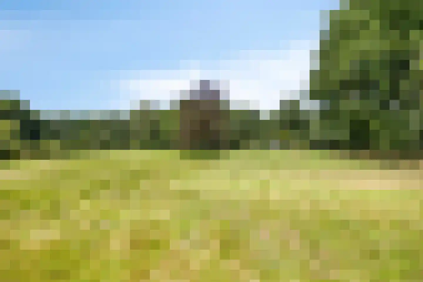 Vierwindenlaan 13 Oss thumbnail 51