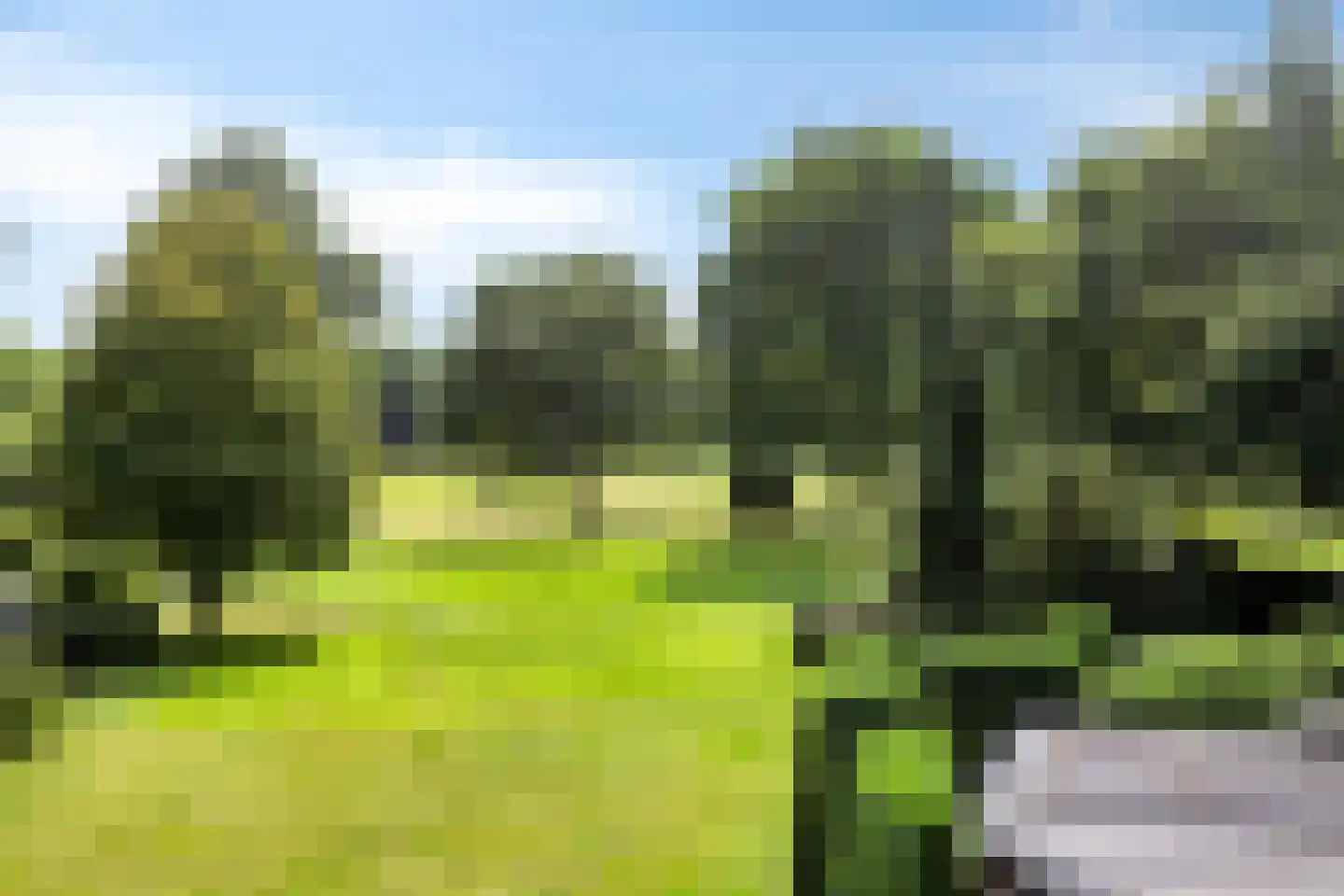 Vierwindenlaan 13 Oss thumbnail 54