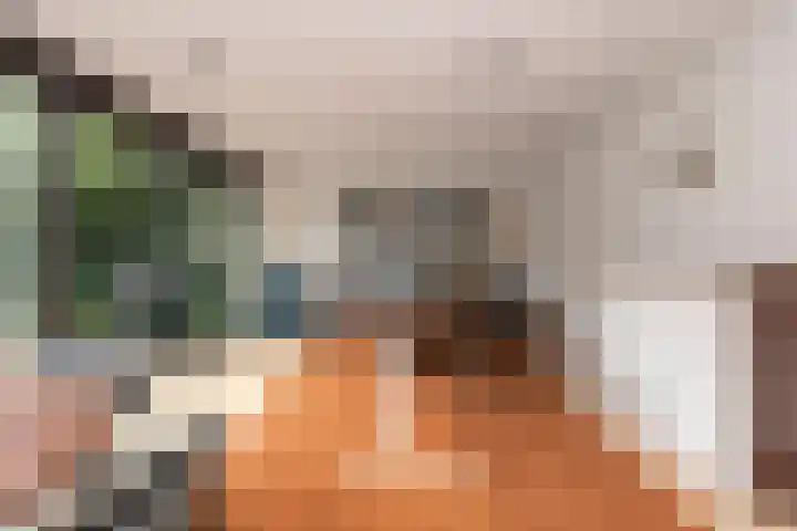 Vierwindenlaan 35 Tilburg thumbnail 27