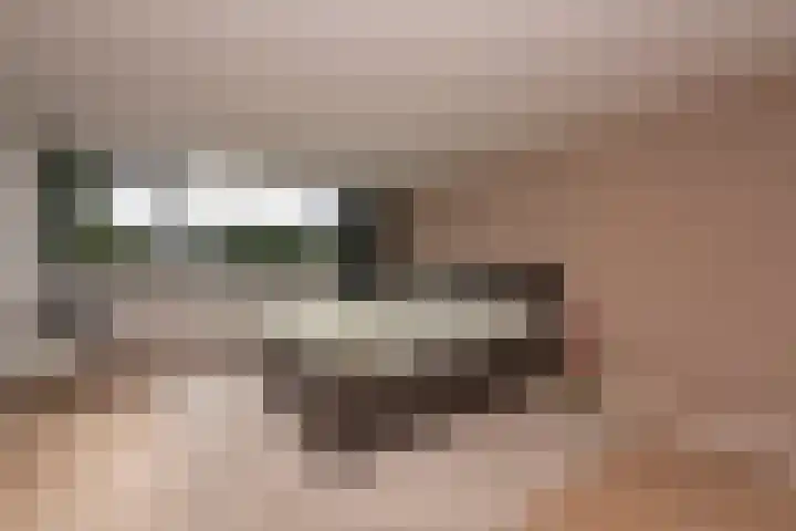 Vierwindenlaan 35 Tilburg thumbnail 34