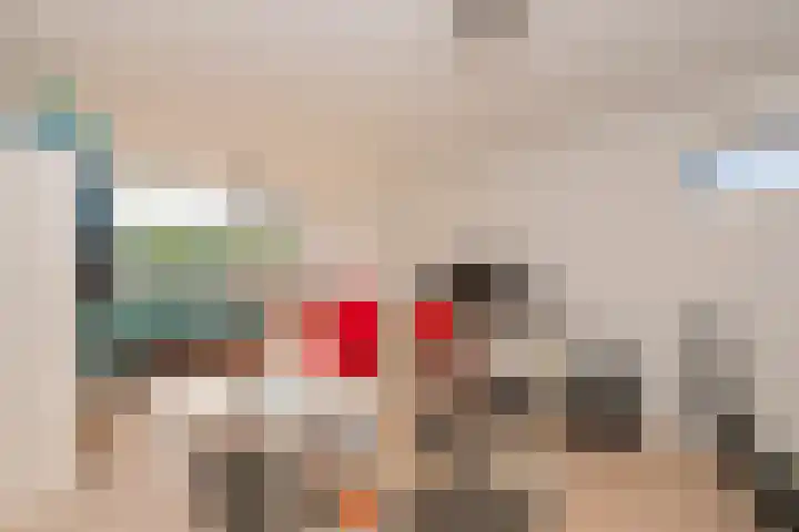 Vierwindenlaan 35 Tilburg thumbnail 37