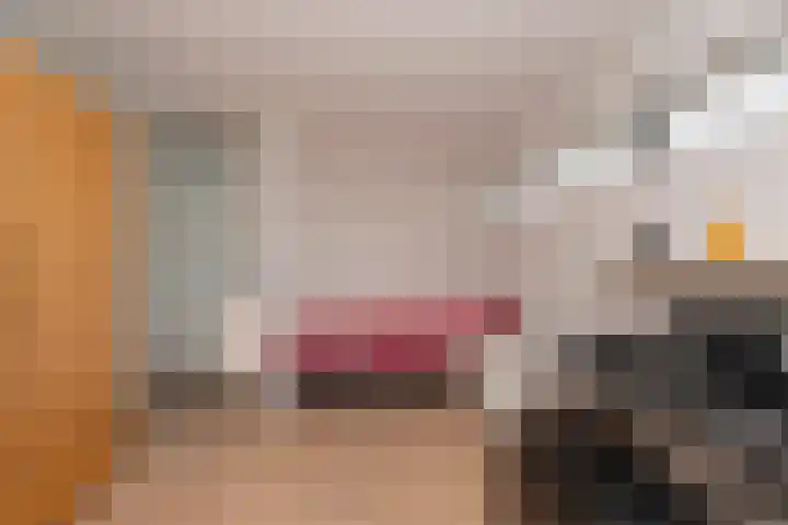 Vierwindenlaan 35 Tilburg thumbnail 40