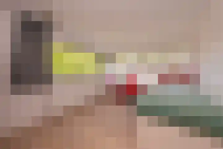Vierwindenlaan 35 Tilburg thumbnail 43