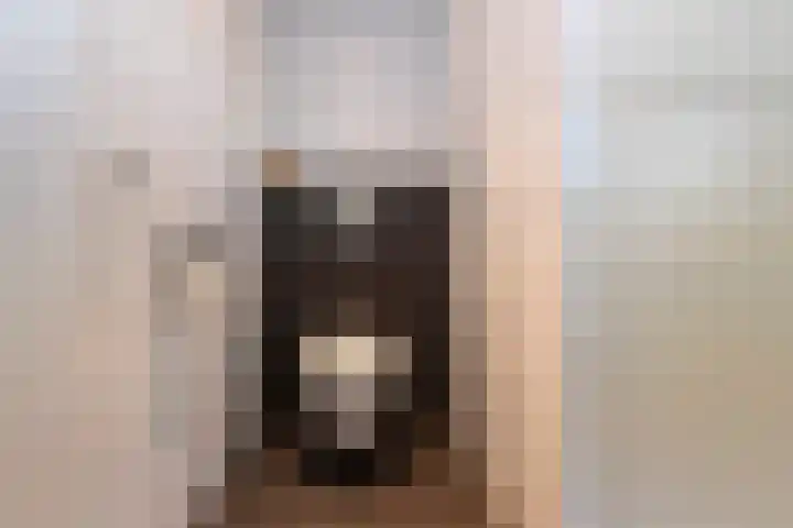 Vierwindenlaan 35 Tilburg thumbnail 47