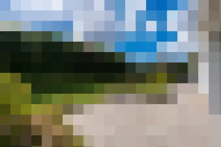 Vierwindenlaan 35 Tilburg thumbnail 55