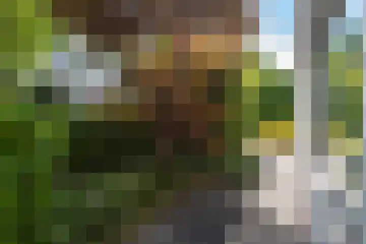 Vierwindenlaan 35 Tilburg thumbnail 58