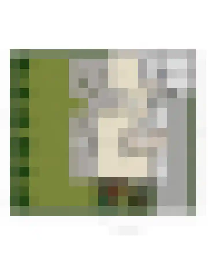 Vierwindenlaan 35 Tilburg thumbnail 66