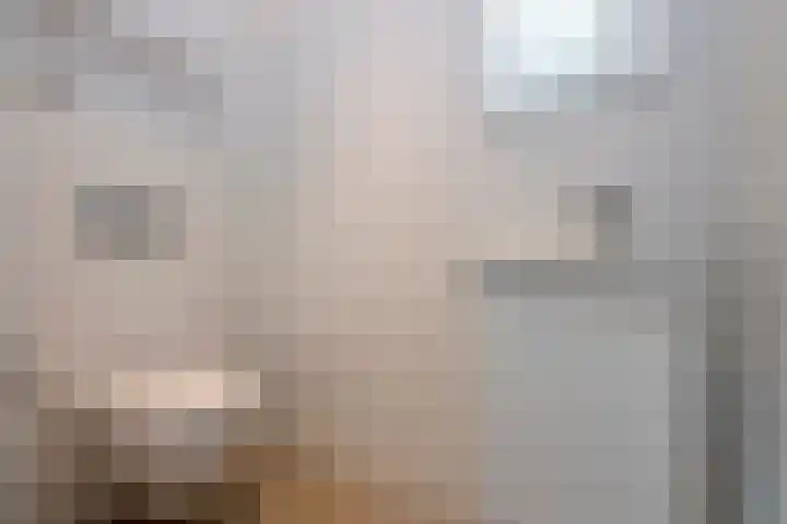 Vierwindenlaan 35 Tilburg thumbnail 8