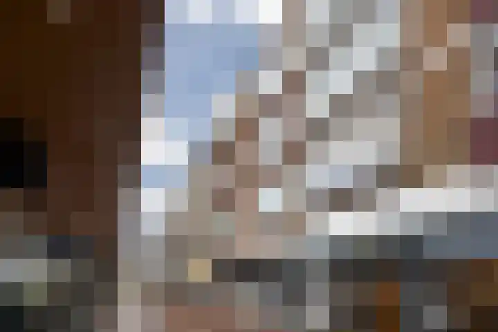 Vijf Meiplein 44 in Leiden