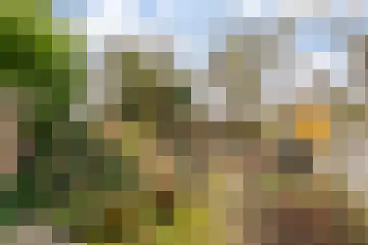 Vijfde Rompert 30 's-Hertogenbosch thumbnail 24