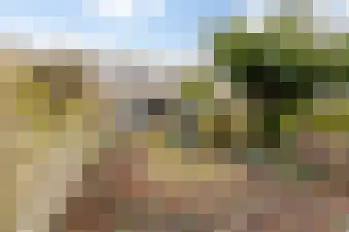 Vijfde Rompert 30 's-Hertogenbosch thumbnail 25
