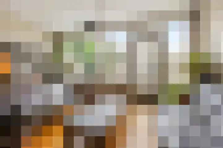 Vijfde Rompert 30 's-Hertogenbosch thumbnail 4