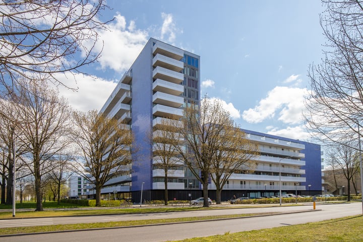 Vijfhagen 179 in Breda foto