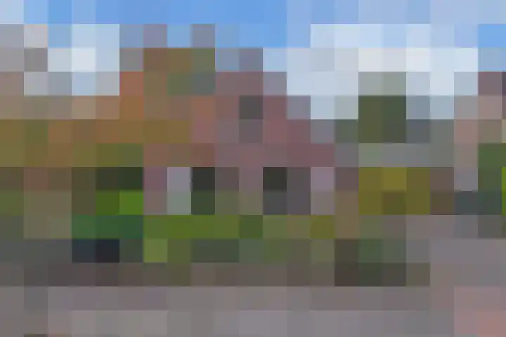 Vijfheerenlanden 5 in Emmeloord