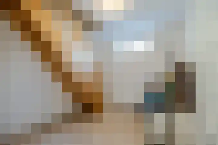 Vijfhoek 6 Fluitenberg thumbnail 22