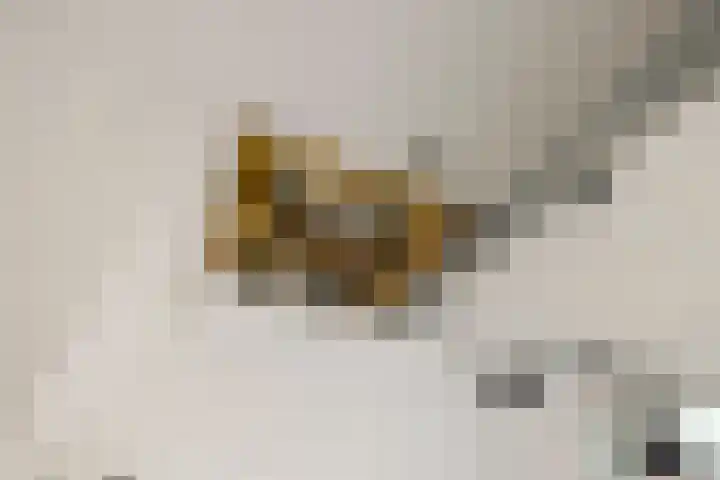 Vijfhoek 6 Fluitenberg thumbnail 31