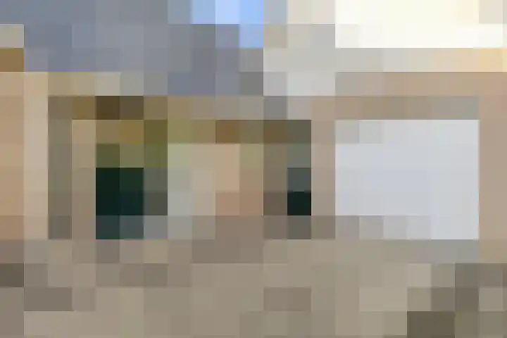 Vijfhoek 6 Fluitenberg thumbnail 5