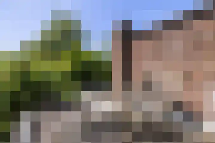 Vijfhoek 6 Fluitenberg thumbnail 56
