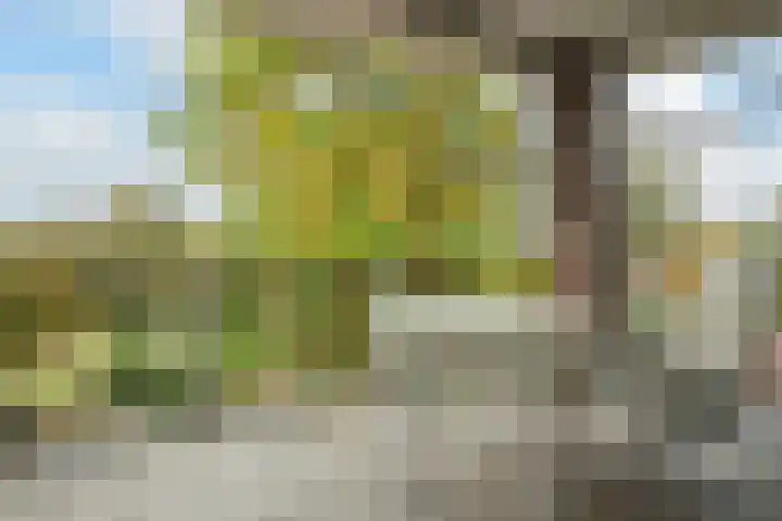Vijfhoek 6 Fluitenberg thumbnail 69
