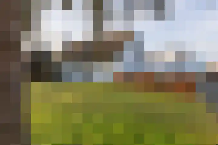 Vijfhuizenbaan 3 Riel thumbnail 4