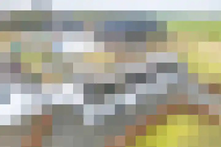 Vijfhuizenbaan 3 Riel thumbnail 6