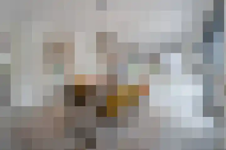 Vijfvingerkruid 16 Berghem thumbnail 11