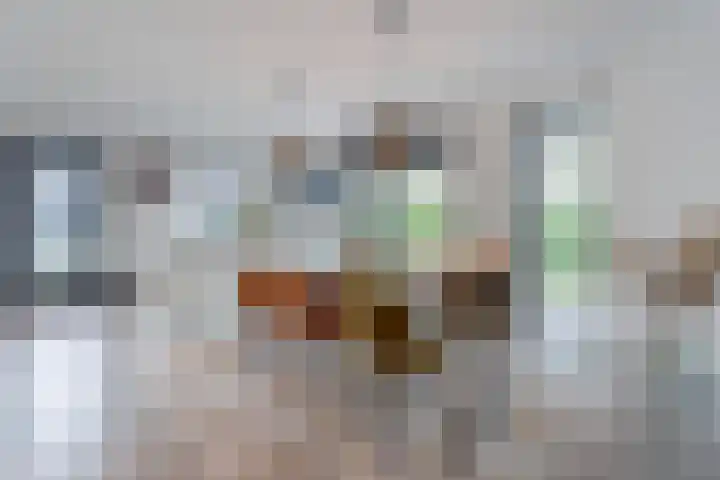 Vijfvingerkruid 16 Berghem thumbnail 12