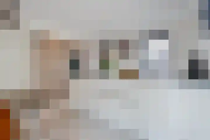 Vijfvingerkruid 16 Berghem thumbnail 13