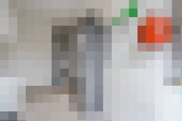 Vijfvingerkruid 16 Berghem thumbnail 18