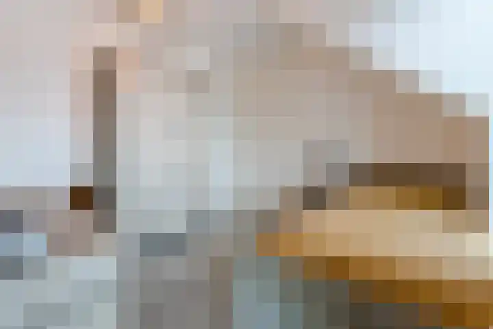 Vijfvingerkruid 16 Berghem thumbnail 27