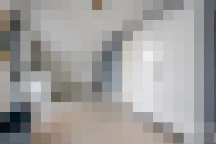 Vijfvingerkruid 16 Berghem thumbnail 29