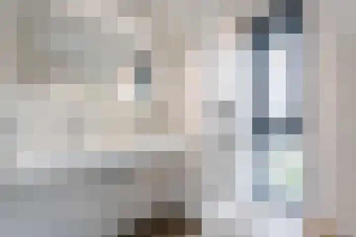 Vijfvingerkruid 16 Berghem thumbnail 30