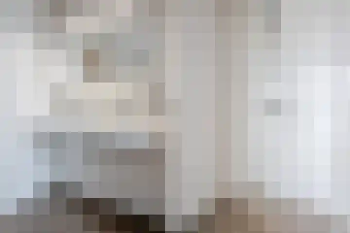 Vijfvingerkruid 16 Berghem thumbnail 31