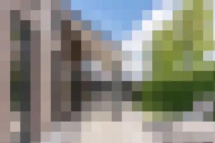 Vijfvingerkruid 16 Berghem thumbnail 35