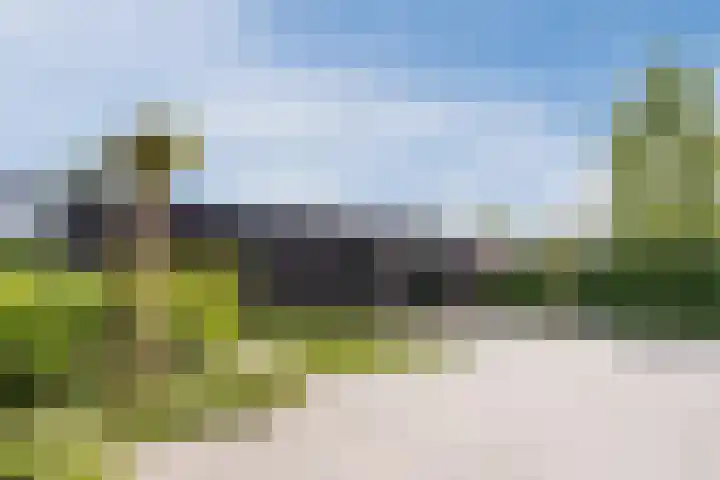 Vijfvingerkruid 16 Berghem thumbnail 38