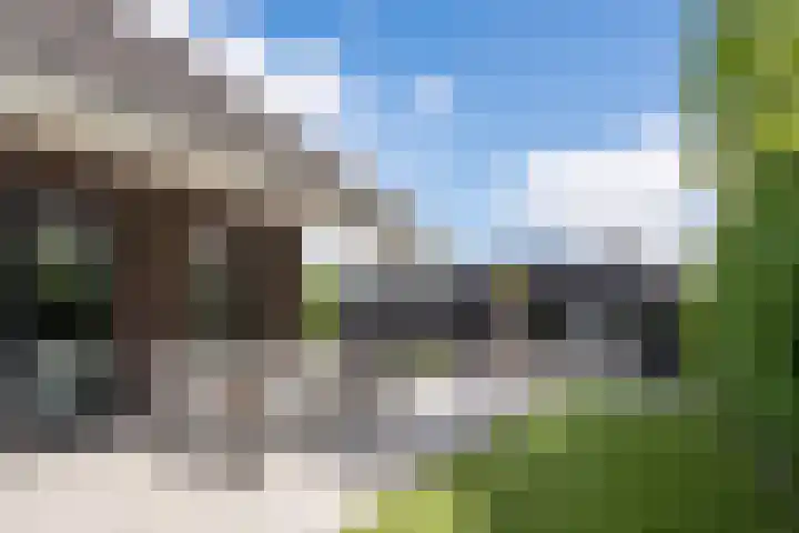 Vijfvingerkruid 16 Berghem thumbnail 4