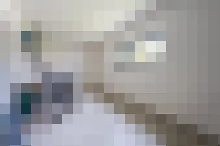 Vijfvingerkruid 16 Berghem thumbnail 43