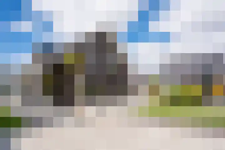 Vijfvingerkruid 16 Berghem thumbnail 45