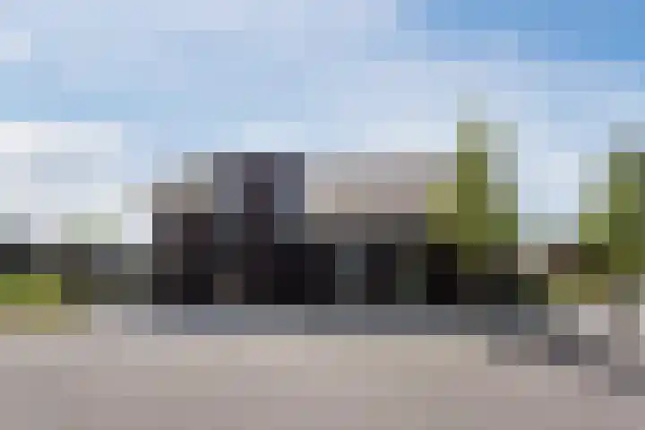 Vijfvingerkruid 16 Berghem thumbnail 46