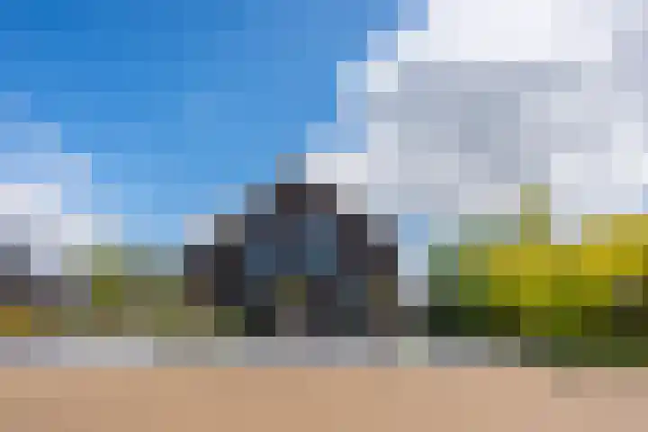 Vijfvingerkruid 16 Berghem thumbnail 49