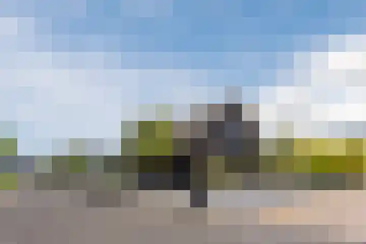 Vijfvingerkruid 16 Berghem thumbnail 5