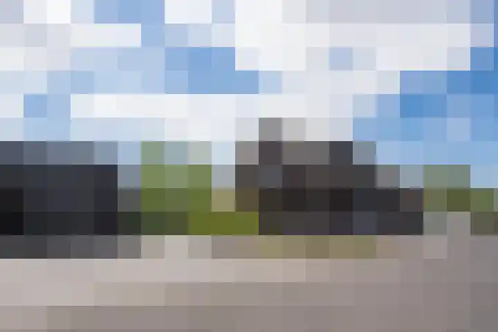 Vijfvingerkruid 16 Berghem thumbnail 50