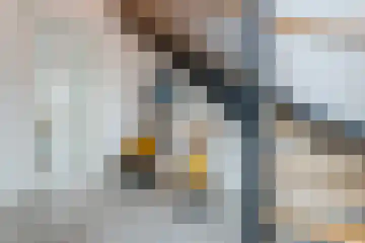 Vijfvingerkruid 16 Berghem thumbnail 6